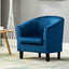 Home Velevt Fabric Tub Chair Armchair club Chair for Dining Living Room & Cafe