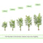 Artificial Tree